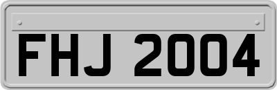 FHJ2004