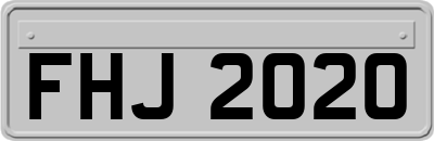 FHJ2020