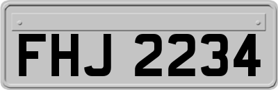FHJ2234