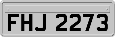 FHJ2273