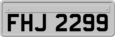 FHJ2299