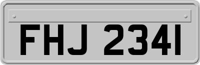 FHJ2341