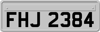 FHJ2384