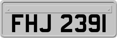 FHJ2391