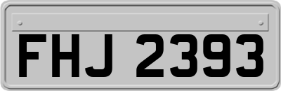 FHJ2393