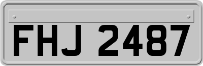 FHJ2487