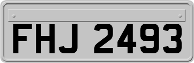FHJ2493