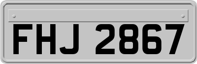 FHJ2867