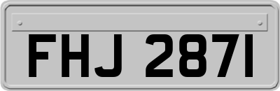 FHJ2871