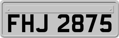 FHJ2875