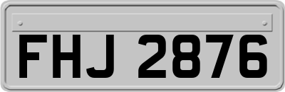 FHJ2876