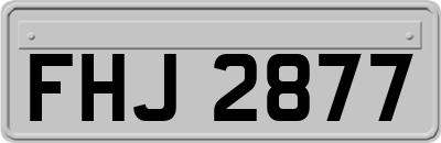 FHJ2877
