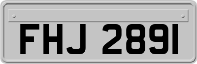 FHJ2891
