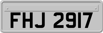 FHJ2917