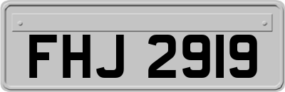 FHJ2919