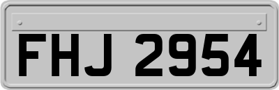 FHJ2954