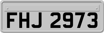 FHJ2973