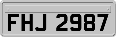 FHJ2987