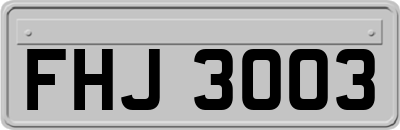 FHJ3003