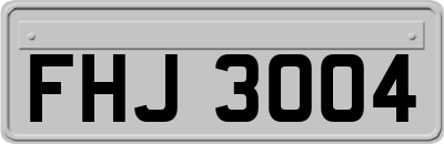 FHJ3004