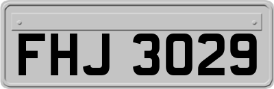 FHJ3029