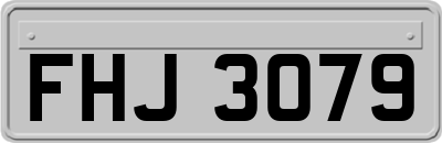 FHJ3079