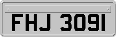 FHJ3091