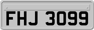 FHJ3099