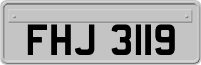 FHJ3119