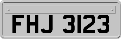FHJ3123