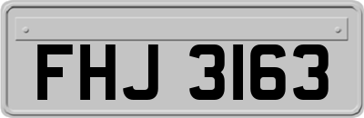 FHJ3163