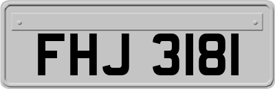 FHJ3181