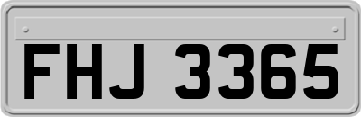 FHJ3365
