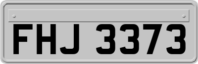 FHJ3373