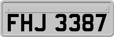 FHJ3387