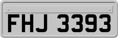 FHJ3393