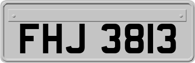 FHJ3813