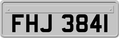 FHJ3841