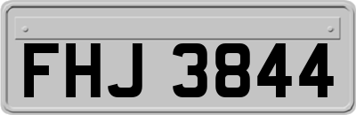 FHJ3844