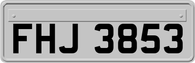 FHJ3853