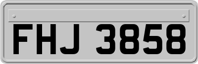 FHJ3858