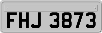 FHJ3873