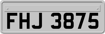 FHJ3875