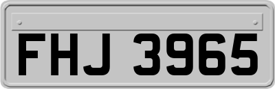 FHJ3965