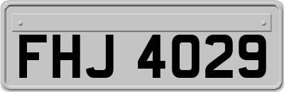 FHJ4029
