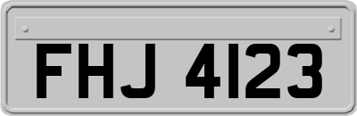 FHJ4123