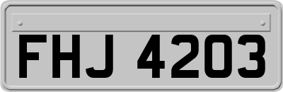 FHJ4203