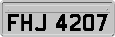 FHJ4207