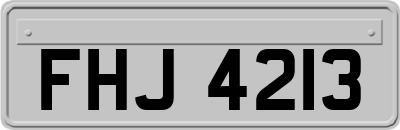 FHJ4213