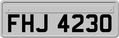 FHJ4230